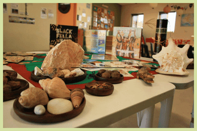 Play, the Environment and Intentionality