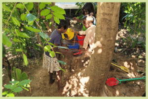 Sustainability: Beyond Recycling and Worm Farms