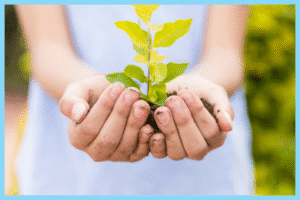 Teaching Environmental Sustainability